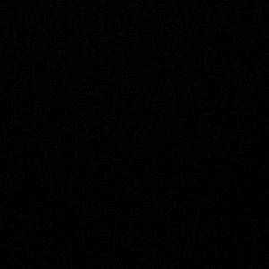 Meet your Posher, Tanner